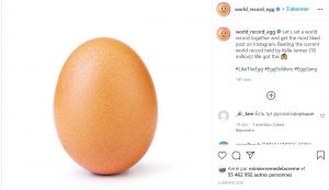 world record egg 