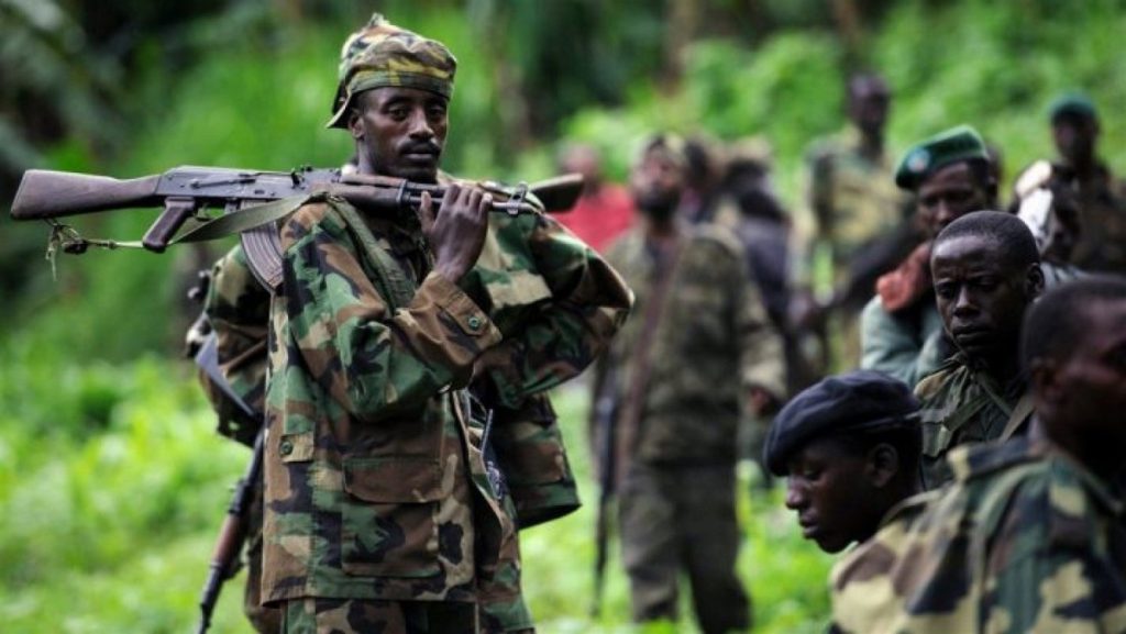 Des soldats congolais dans le Nord du pays