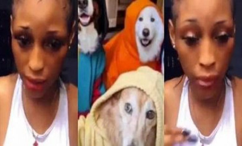 Une jeune femme nigériane recherchée par la police pour avoir eu des rapports s3xuels avec un chien