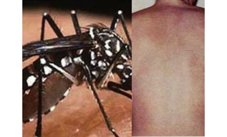 La maladie de la Dengue