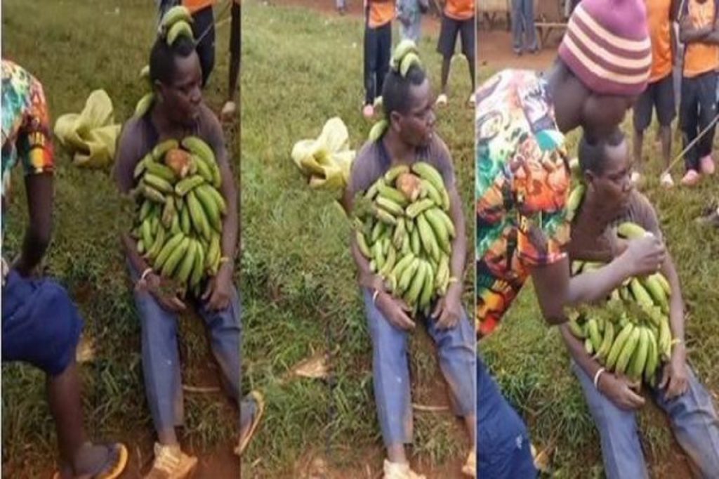 Un voleur de banane contraint à consommer un régime entier de bananes 