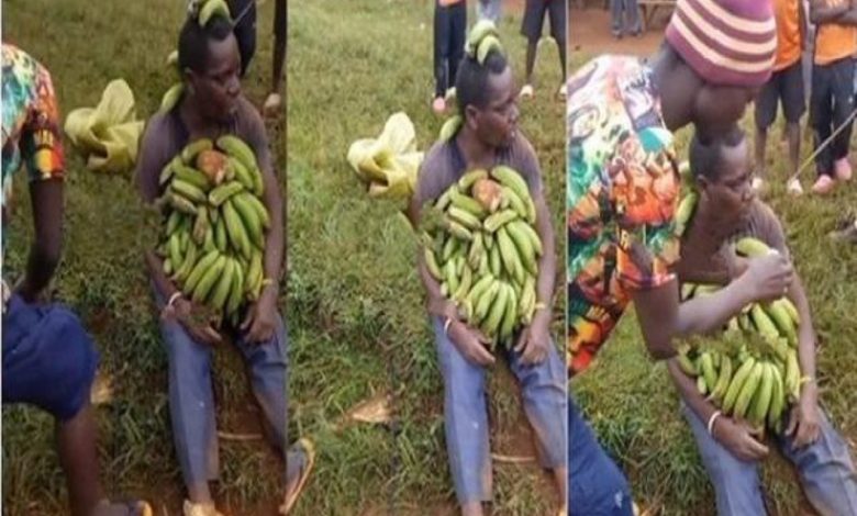 Un voleur de banane contraint à consommer un régime entier de bananes