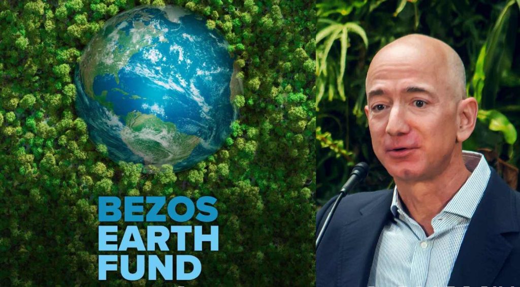 La fondation Bezos Earth Fund pour la protection de la nature 