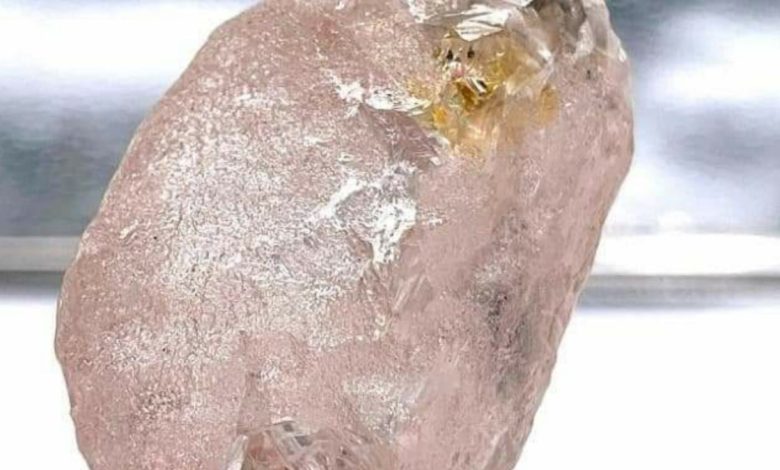 Des mineurs en Angola ont extrait un rare diamant rose pur, considéré comme le plus gros à être découvert dans le monde depuis 300 ans.