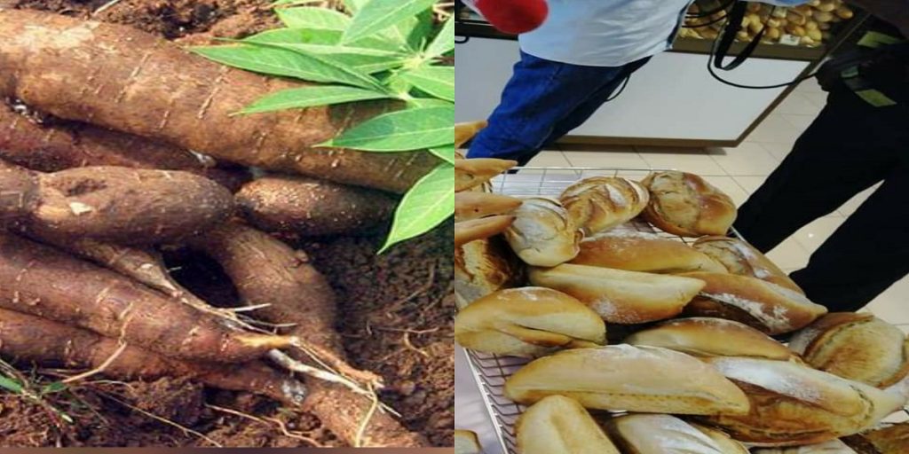 Les boulangers et pâtissiers de Côte d'Ivoire ont démontré leurs savoir-faire avec la production de pain à base de manioc.