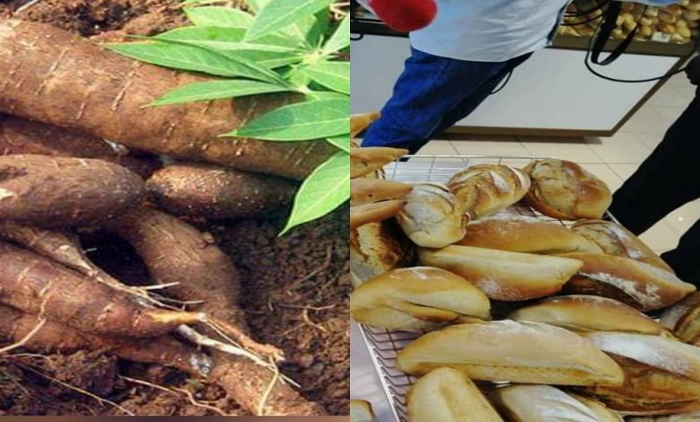 Les boulangers et pâtissiers de Côte d'Ivoire ont démontré leurs savoir-faire avec la production de pain à base de manioc.