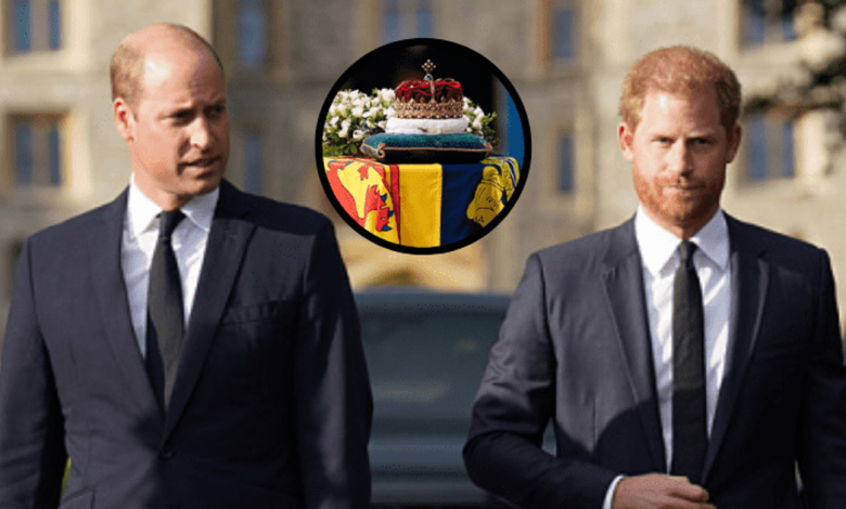 Décès Elizabeth II : Les princes Harry et William au chevet du cercueil