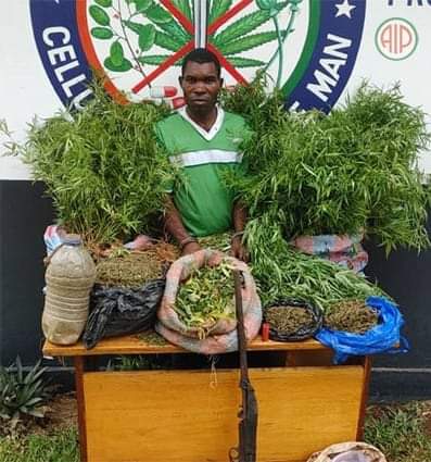 À Géhépé dans le département de Bangolo, un planteur et vendeur de cannabis a été interpellé par les éléments de la cellule anti-drogue.