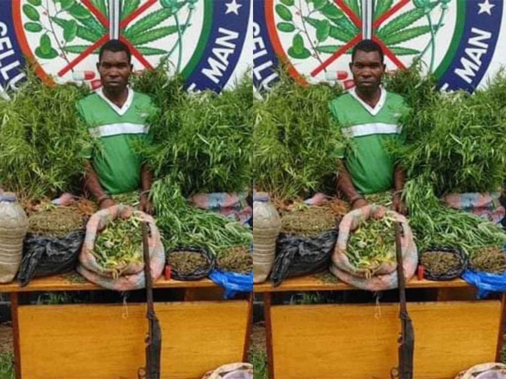 À Géhépé dans le département de Bangolo, un planteur et vendeur de cannabis a été interpellé par les éléments de la cellule anti-drogue.