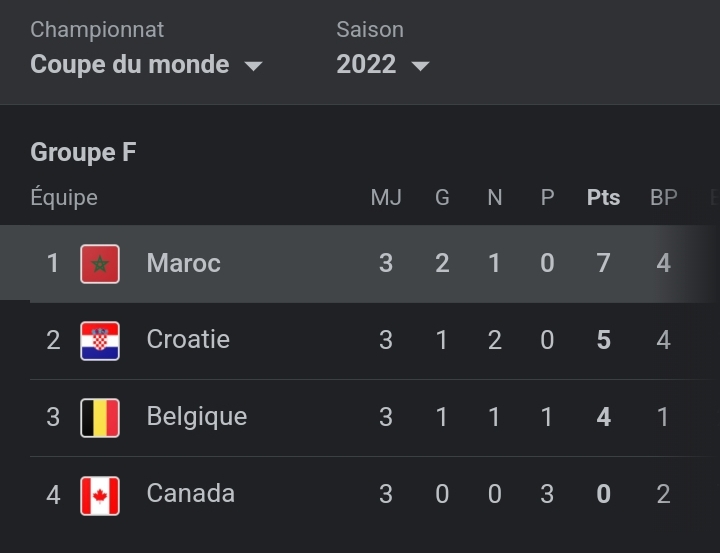 Poule du Maroc durant le Mondial 2022