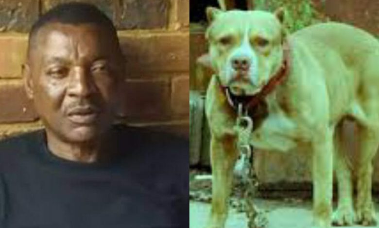 Un ancien footballeur zambien, a été retrouvé mort chez lui par sa chère femme. Il a été mutilé à mort par ses chiens de race.