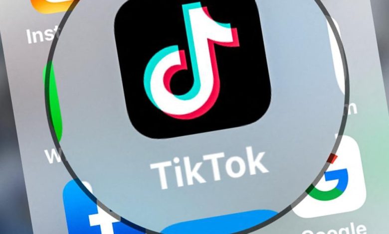 La France interdit TikTok et toutes applications récréatives sur les téléphones des fonctionnaires d'État. Une mesure à effet immédiat.