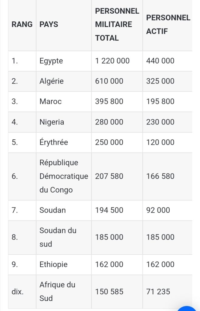 Le Top 10 des armées africaines les plus puissantes. 
